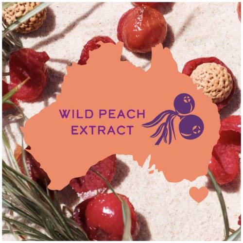 A picture of a wild peach on a sand and contour map of Australia.
