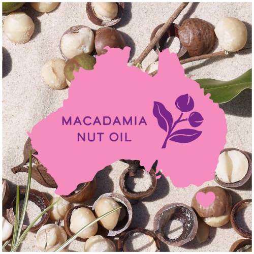 A picture of a macadamia nuts on a sand and contour map of Australia.