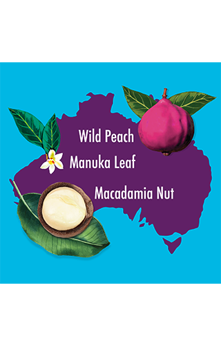 An illustration of Australia shape with images of wild peach and macadamian nut
